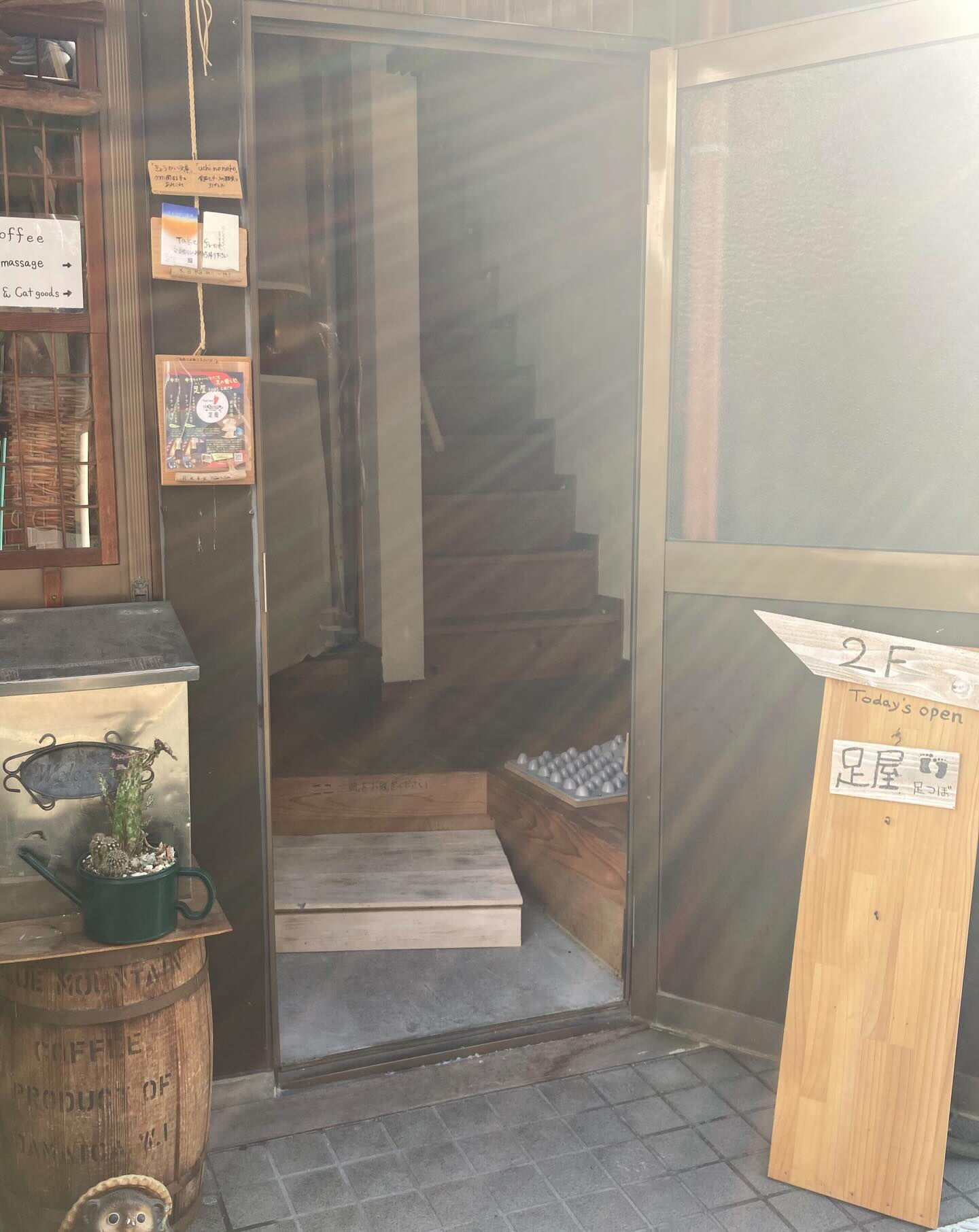 こんにちは🌞